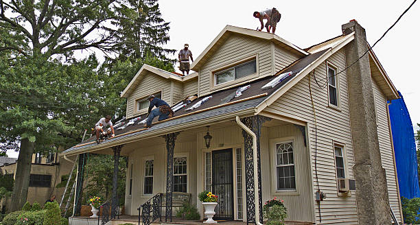 Best Roof Gutter Cleaning  in West Lealman, FL